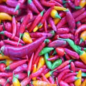 I miei peperoncini