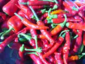 peperoncini maturi